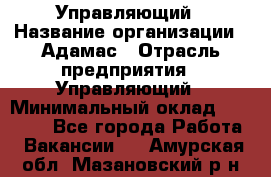 Управляющий › Название организации ­ Адамас › Отрасль предприятия ­ Управляющий › Минимальный оклад ­ 40 000 - Все города Работа » Вакансии   . Амурская обл.,Мазановский р-н